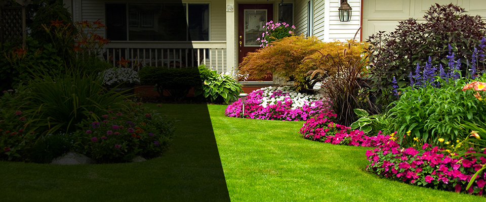 Randolph Landscapers